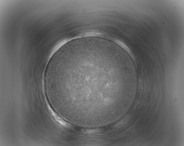 X0000080191047200612081422