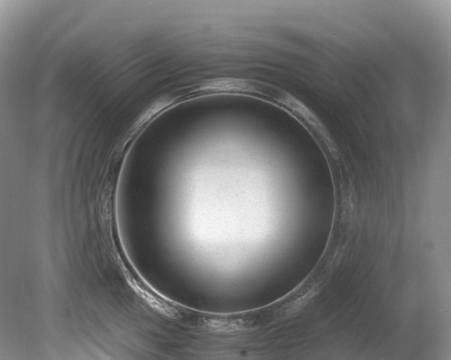 X0000080191049200612081422