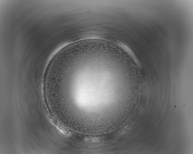 X0000080191051200612081422