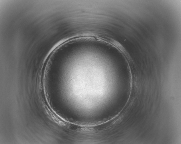 X0000080191052200612081422
