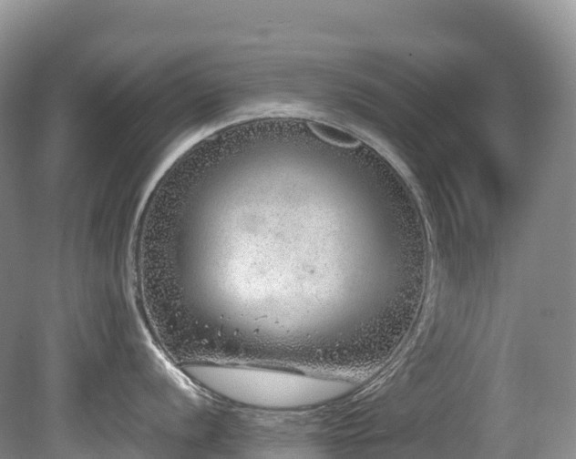 X0000080191056200612081422