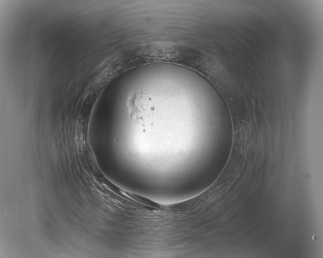 X0000080191058200612081421