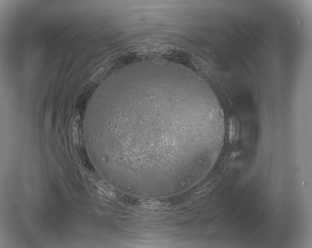 X0000080191059200612081421