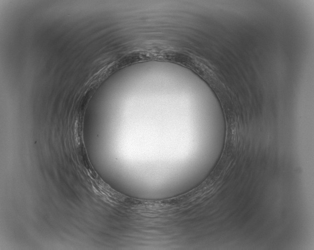 X0000080191060200612081421