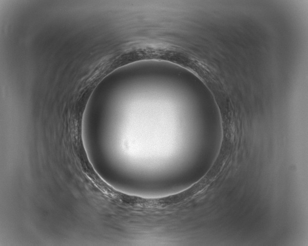 X0000080191061200612081421
