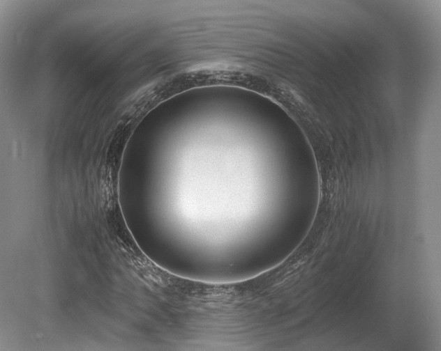 X0000080191062200612081421