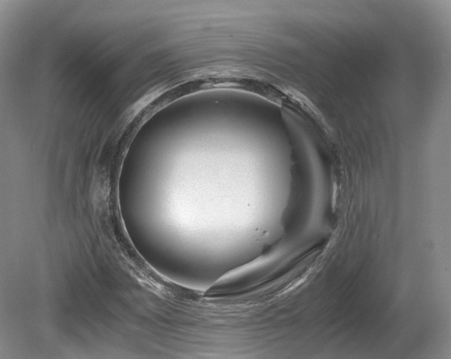 X0000080191065200612081421