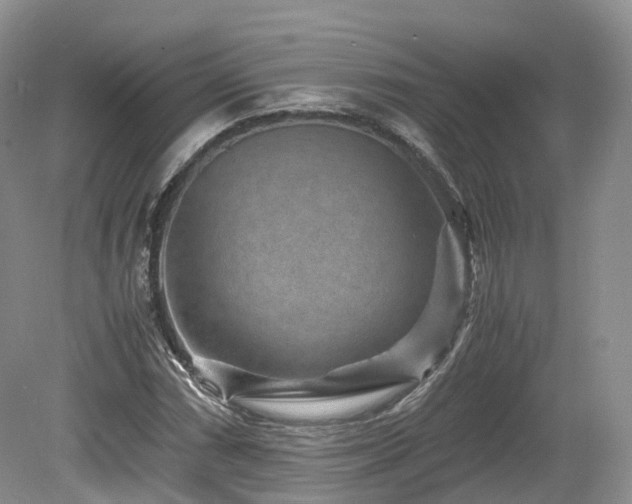 X0000080191066200612081421