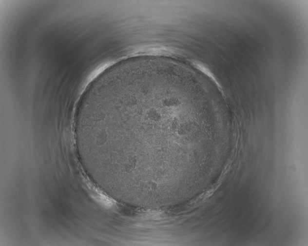 X0000080191071200612081421