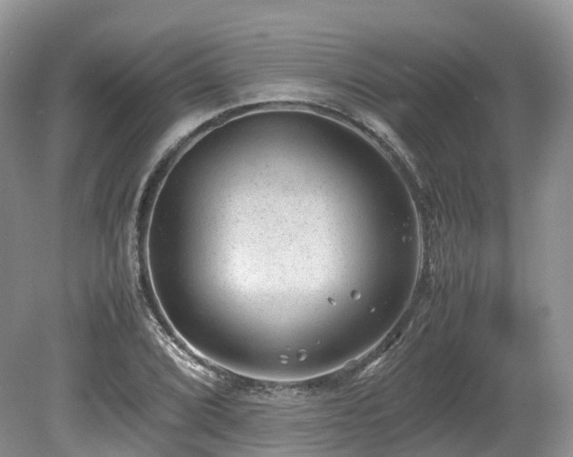 X0000080191072200612081421