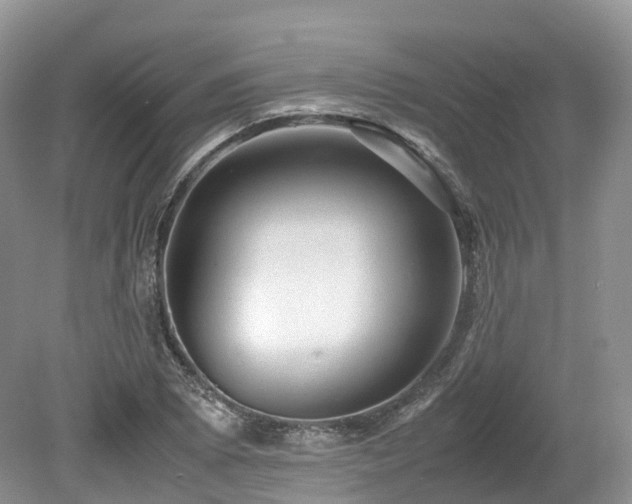 X0000080191073200612081421