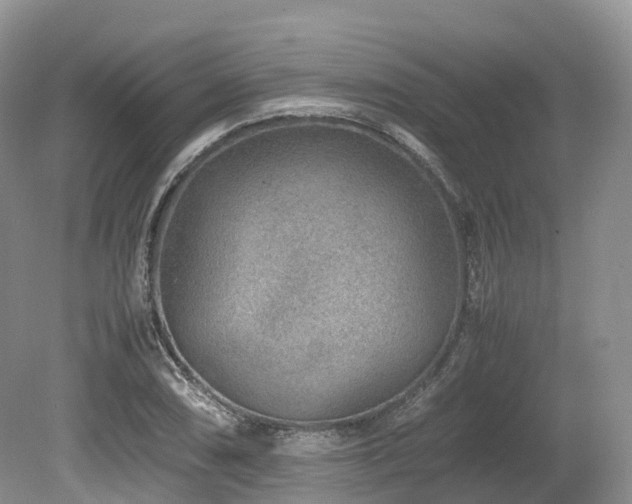 X0000080191074200612081421