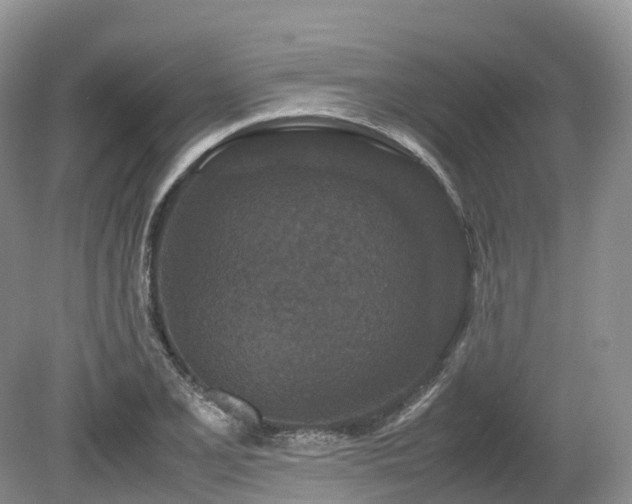 X0000080191077200612081421