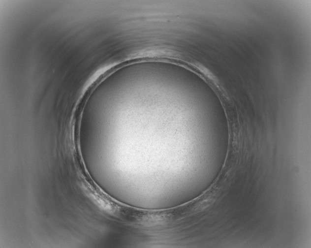 X0000080191078200612081421