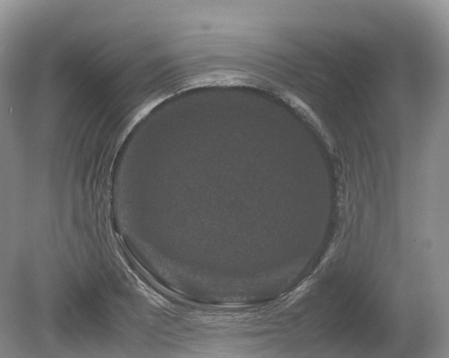 X0000080191081200612081421