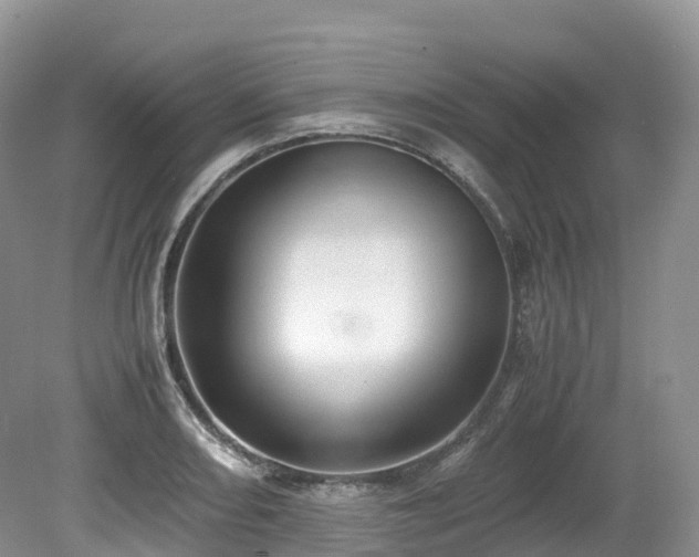 X0000080191082200612081421