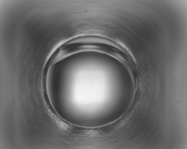 X0000080191085200612081421