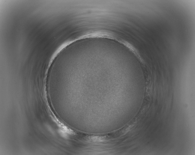 X0000080191086200612081421