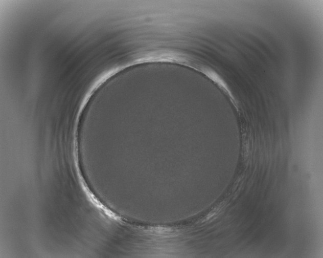 X0000080191088200612081421
