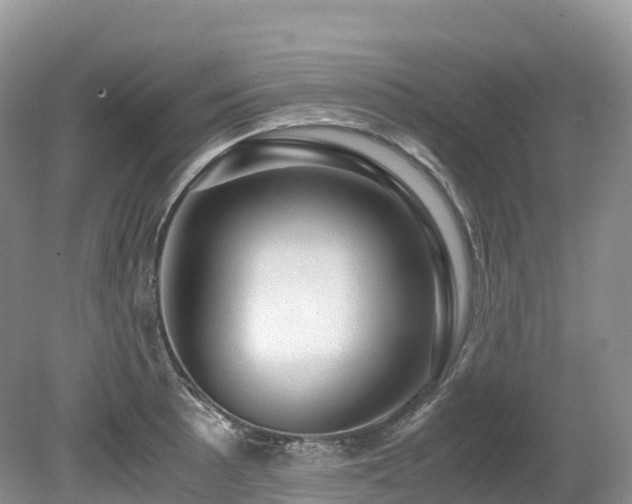 X0000080191089200612081421