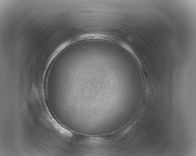 X0000080191090200612081421
