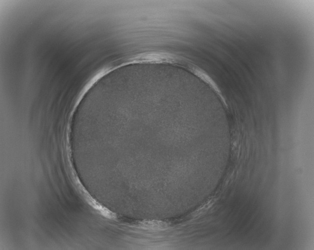 X0000080191091200612081421