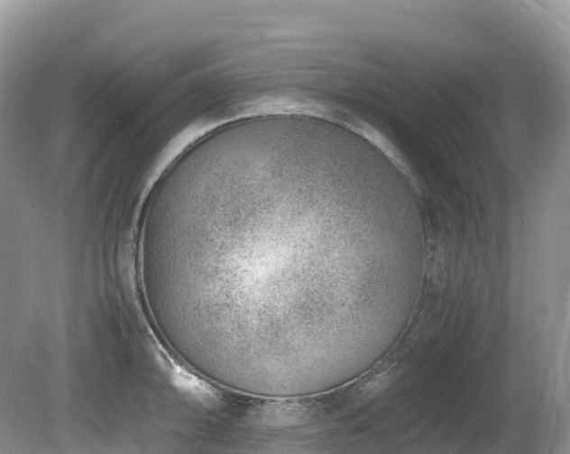 X0000080191094200612081421
