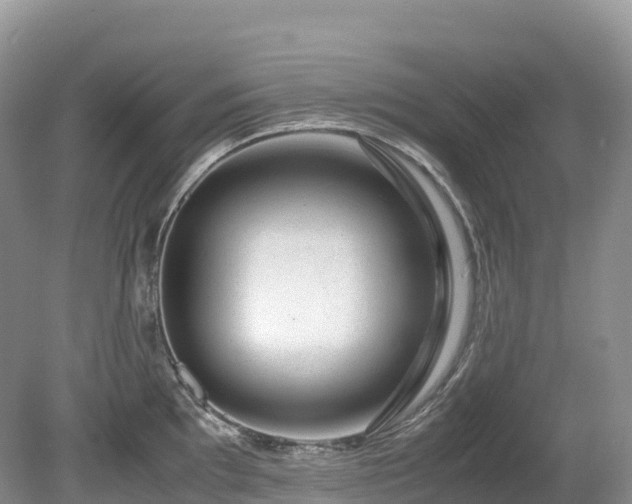 X0000080191097200612081421