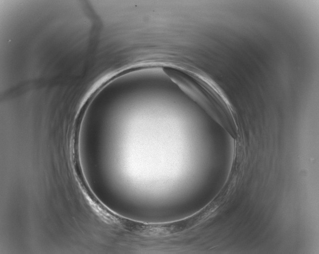 X0000080191101200612081421