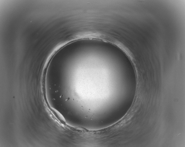 X0000080191104200612081421