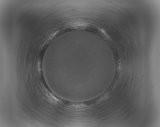 X0000080191108200612081420
