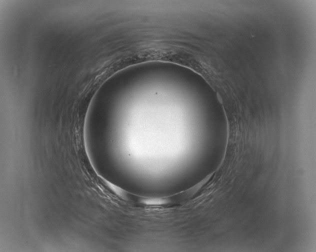 X0000080191109200612081420
