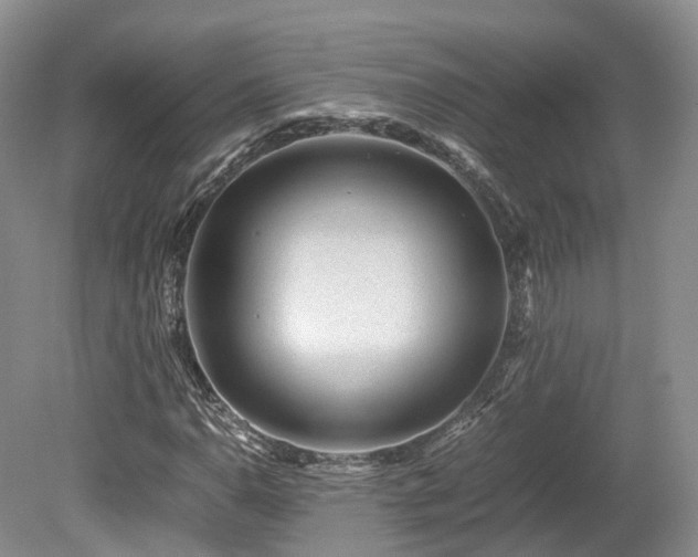 X0000080191110200612081420