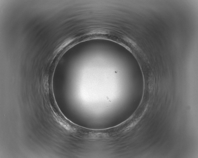 X0000080191113200612081420