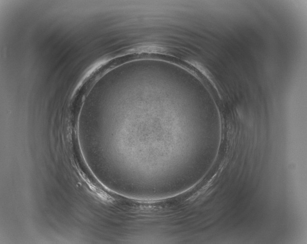 X0000080191115200612081420