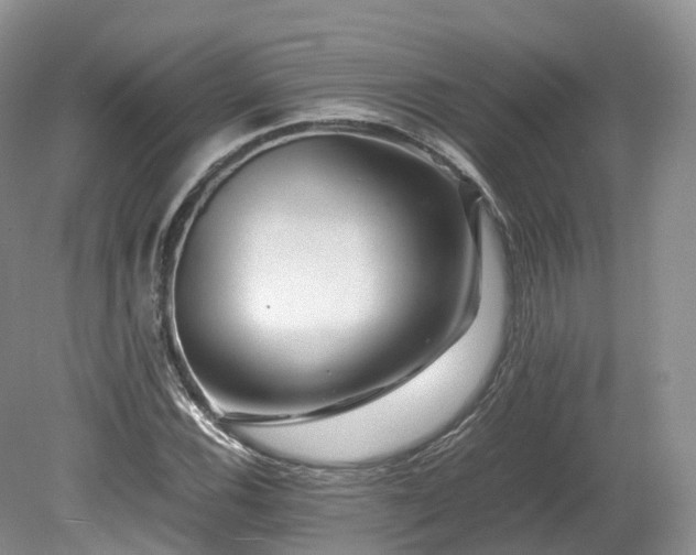X0000080191116200612081420