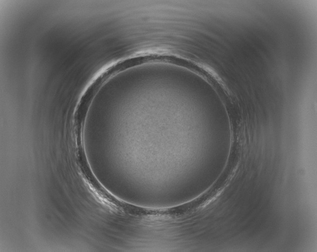 X0000080191118200612081420
