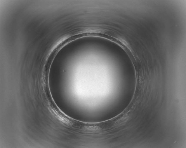 X0000080191119200612081420