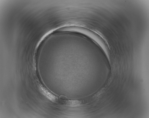 X0000080191120200612081420