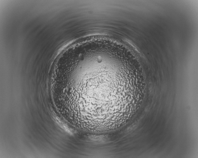 X0000080191121200612081420