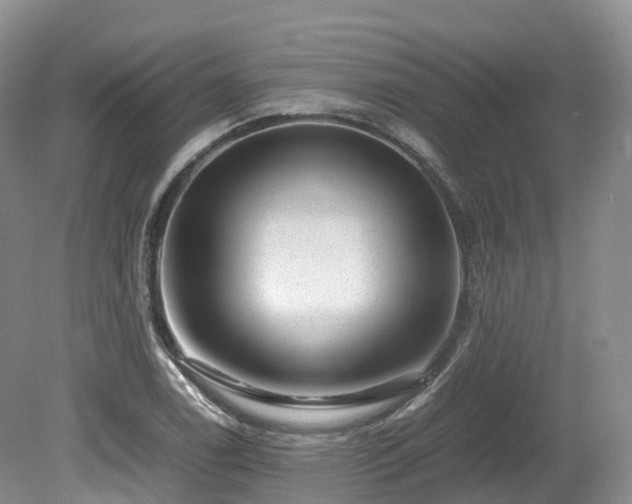 X0000080191122200612081420