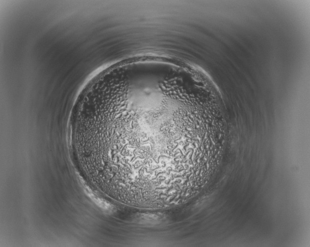 X0000080191125200612081420