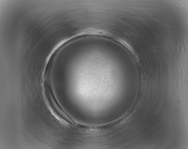 X0000080191128200612081420