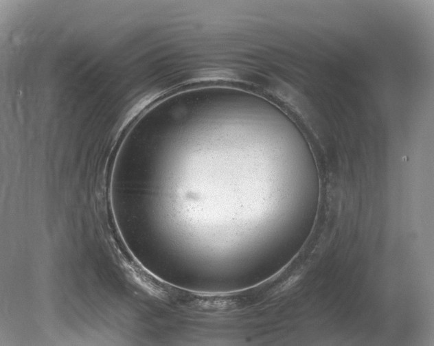 X0000080191129200612081420