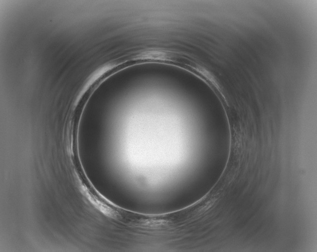 X0000080191131200612081420
