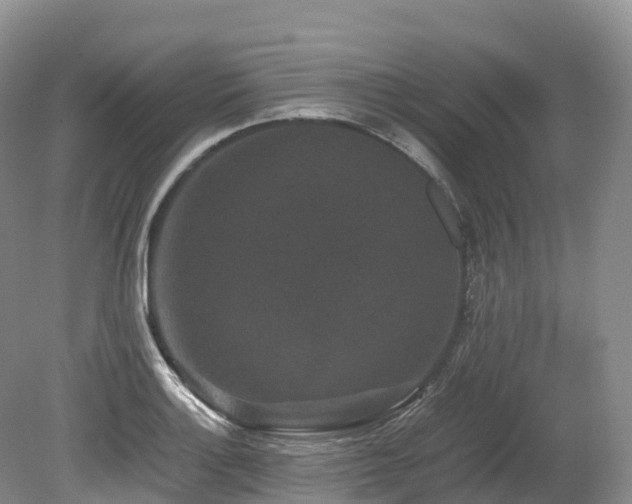 X0000080191132200612081420