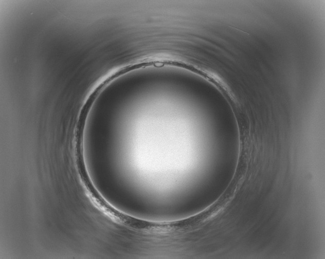 X0000080191134200612081420