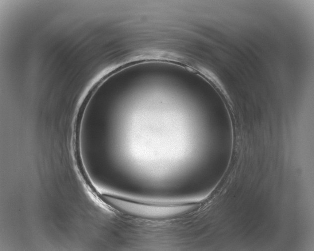 X0000080191136200612081420
