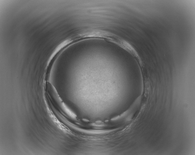 X0000080191138200612081420