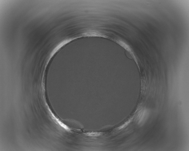 X0000080191141200612081420